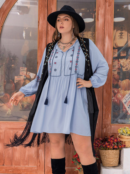 Tie Neck Tassel Detail Long Sleeve Mini Dress